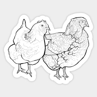 Couple of Hens Sticker